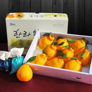 감귤농장아들 제주 서귀포 한라봉 3kg [1개]