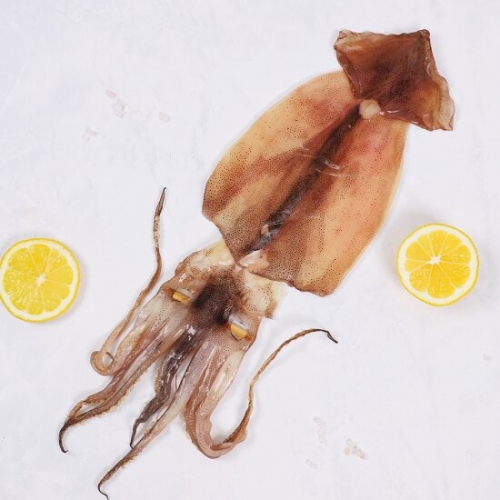 강영수산  구룡포 반건조 오징어 5미 특대 750g