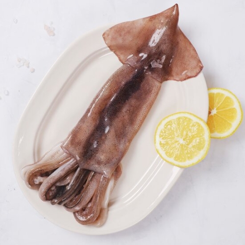 강영수산  자연산 손질오징어 통오징어 2미 220g