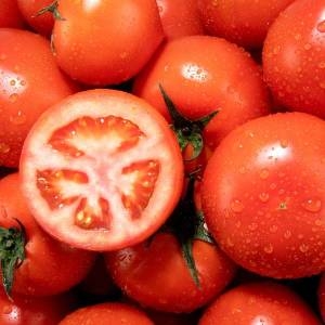 산해직송  산지직송 완숙 토마토 중대혼합 5kg