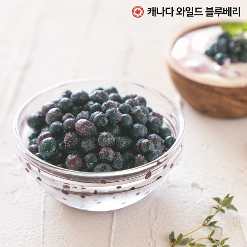 캐나다 옥스포드 와일드 블루베리 340g 15개
