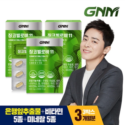 GNM자연의품격 징코빌로바11 500mg 30정
