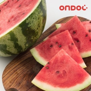 온도씨  함안 하우스 꿀 수박 5kg 전후