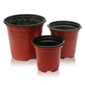 다농  양면이색컵포트/칼라포트 소량판매