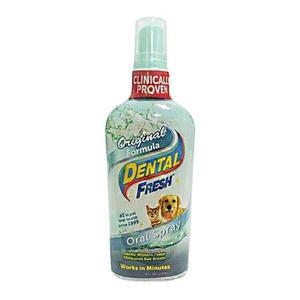 시너지랩 덴탈 후레쉬 구강 스프레이 118ml