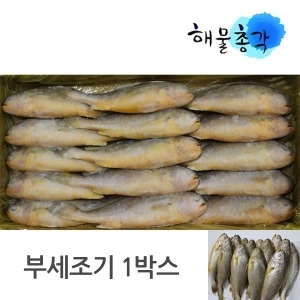 해물총각  부세조기 3.4kg 26cm