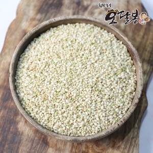 힘찬농부오달봉  예천 고논 찰현미 찹쌀현미 국내산 10kg 25년산