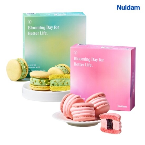 널담  벚꽃에디션 봄 마카롱 8개입