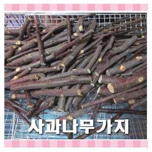 사과나무이갈이 - 햄스터이갈이/토끼이갈이/기니피그