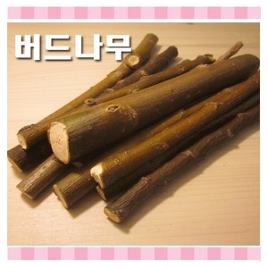 멀티펫  버드나무이갈이 햄스터이갈이/토끼이갈이/기니피그