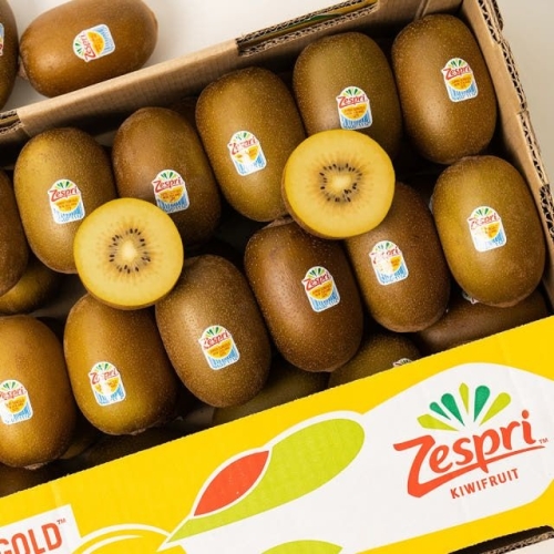 제스프리  골드키위 레드키위 특대과 점보 슈퍼점보 로얄과