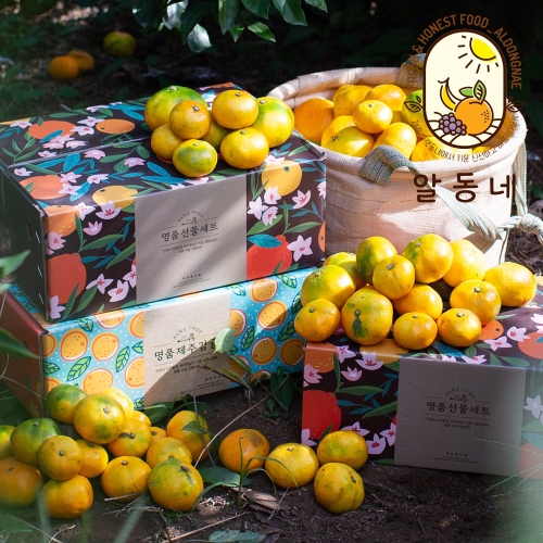 알동네 하우스감귤 4.5kg 프리미엄S과