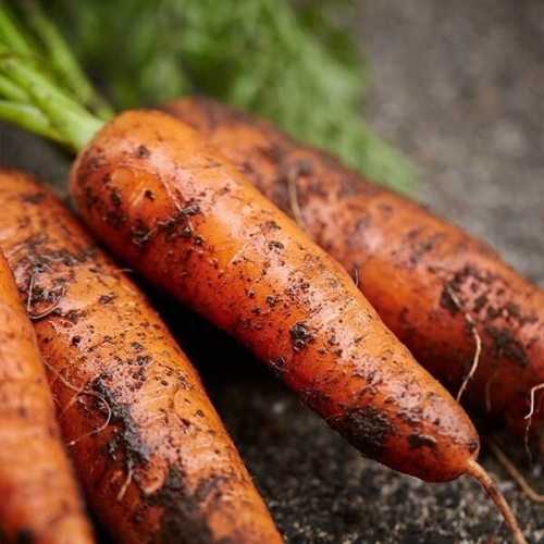 사과랑 자연맛남 농장직송 신선한 당근 5kg 왕