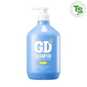 TS 지디 샴푸 포보이 800g