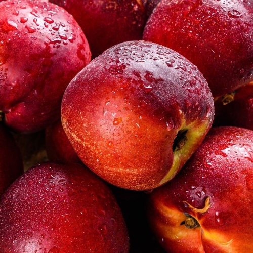 오늘담은  신비복숭아 중소과 28과내외 2kg