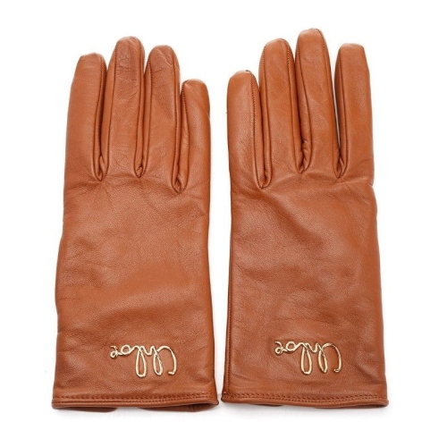 끌로에 클로에 아이코닉 장갑 CHC24WG020LBR 26M