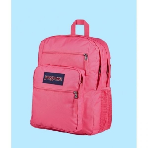 잔스포츠 ltgt 빅스튜던트 POSH PINK JS0A47JKEX2 145593