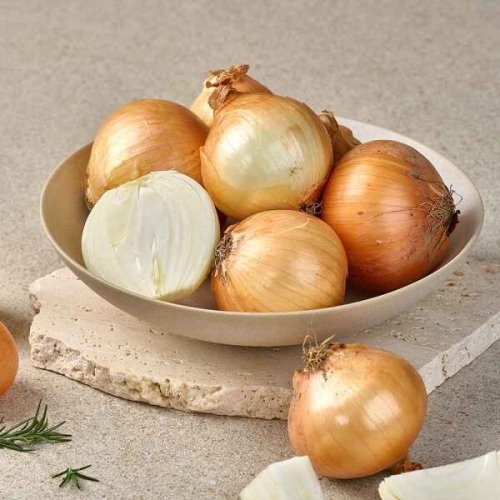 더자인  국내산 단단하고 신선한 햇양파 소 장아찌용 10kg