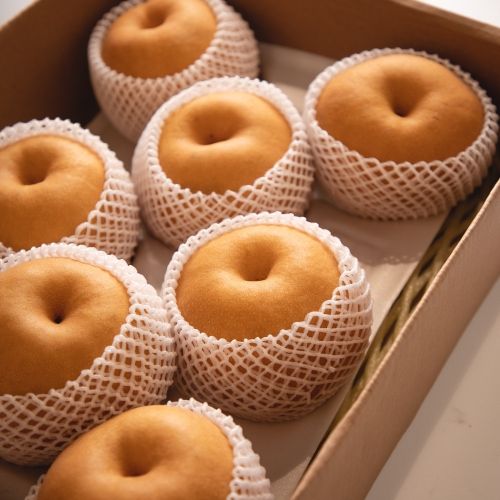 과일꾼  25년수확 햇배 나주배 가정용 5kg 8-9과