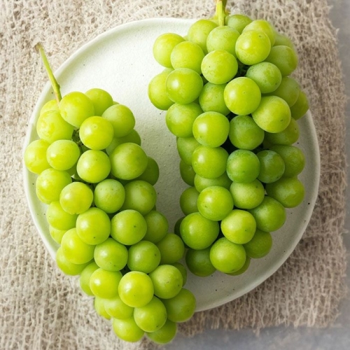 작심밀도  자연맑음 샤인머스켓 2kg 3-4송이