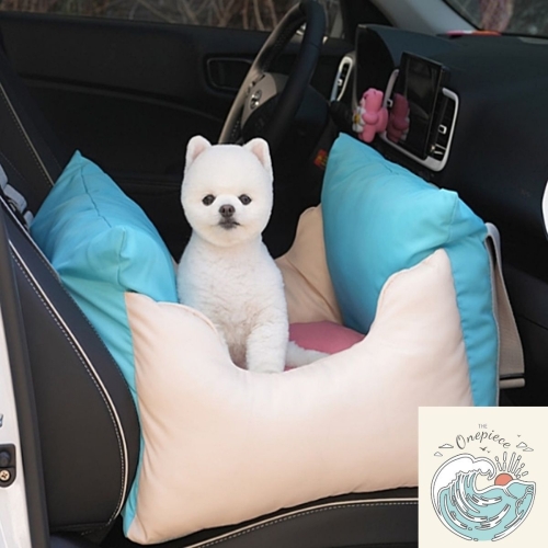 개과천선 캔디팝 카시트