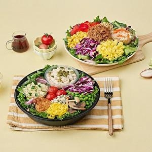 풀무원  디자인밀 그린밀프로틴 총20일