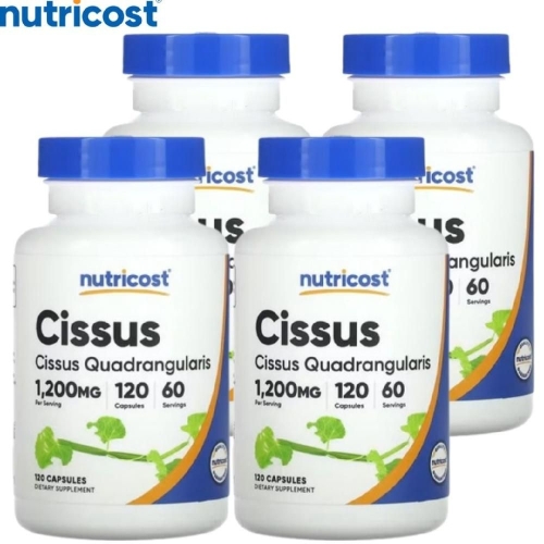 뉴트리코스트 시서스 120캡슐