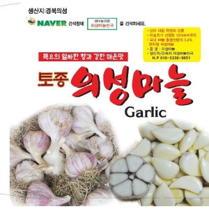 의성마늘  통마늘 육쪽 햇마늘 25년산 중소품 약 140- 내외