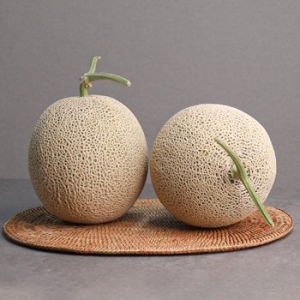 오늘신선  고당도 프리미엄 산지직송 고창 머스크 멜론 8kg