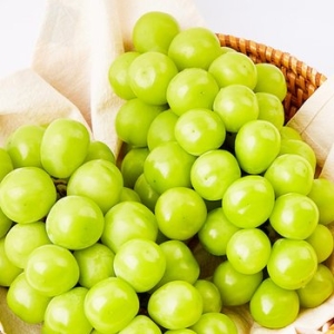 맛딜  달콤아삭 고당도 하우스 샤인머스켓 2kg 5-6수