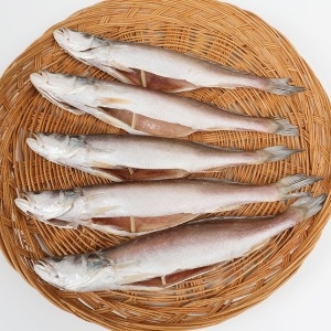 반건조 민어뾰조기 제수용 민어조기 3P 32~34cm 3마리