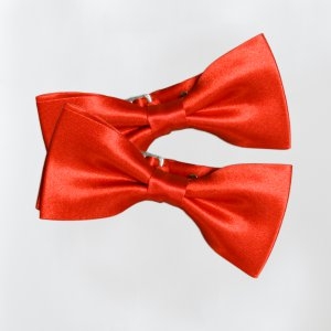 리본타이 보타이 서빙 웨이터 서버 딜러 타이 DAC03