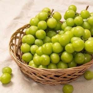 과일꾼  에어셀 안전포장 고당도 샤인머스켓 특등급 프리미엄 1.6kg 2수
