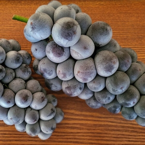 때깔찬  국내산 고당도 거봉 포도 2kg