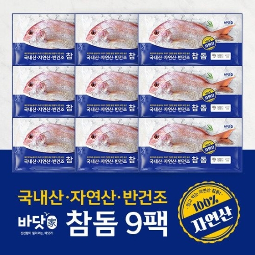 바닷가  국내산 반건조 참돔 300g