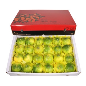 삼다몰  제주 황금향 대 5kg