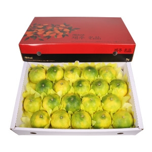 삼다몰  제주 황금향 특대 5kg 특대 5kg