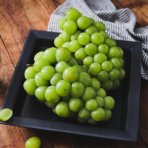 사과랑 자연맛남 꿀당도 망고포도 샤인머스켓 2kg 4-5수