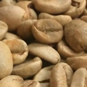 필더컵  인도 몬순 말라바 AA 생두 1kg