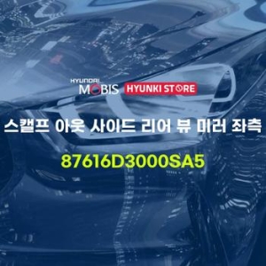 현대모비스 스캘프 아웃 사이드 리어 뷰 미러 좌측 87616D3000SA5 부품몰