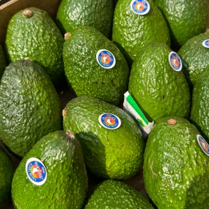 아보카도  생과 내외 대과