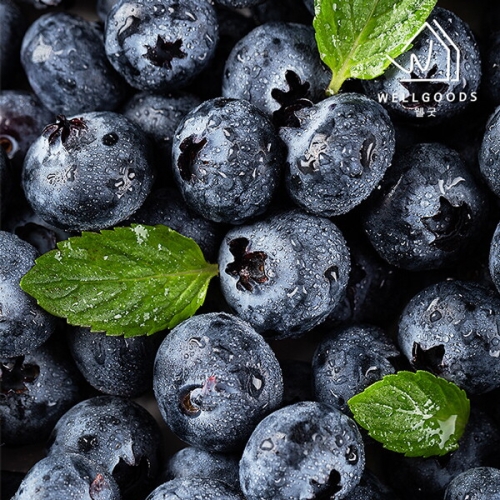 웰굿  프리미엄 달콤한 생 블루베리 125g