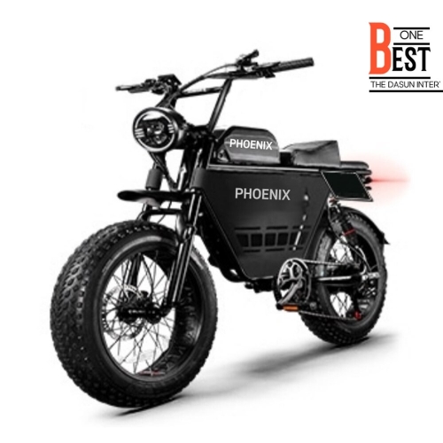 슈퍼  전기 자전거 바구니 배터리 1000W T24 싱글배터리400W13AH 등하원 2인승