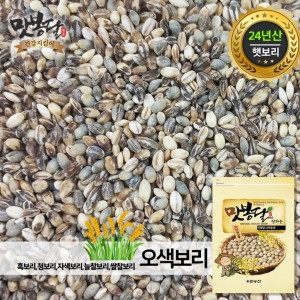 맛봉달 오색보리 청보리 늘찰보리 쌀찰보리 국내산 10kg
