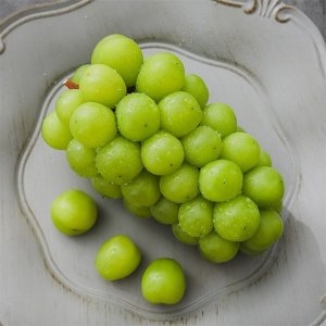 사과랑 자연맛남 에어포장 고당도 샤인머스켓 2kg 3-4수