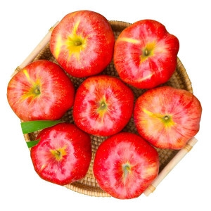 아침이슬농원  실속가득 첫수확 햇 홍로사과 2kg 소과 13-15