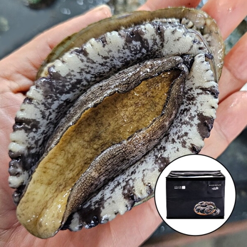 자연맛남  완도 활 전복 선물세트 대 11~13미 1kg
