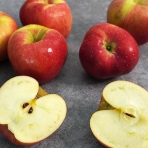 더조은  경북 홍로 못난이 꿀사과 주스용 10kg