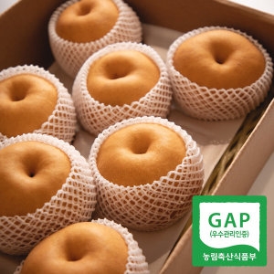 과일꾼  30년 경력 김재명 농부 25년 햇 나주배 특품 5kg 5-7과