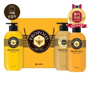 LG생활건강 프로폴리스 올타임 헤어바디